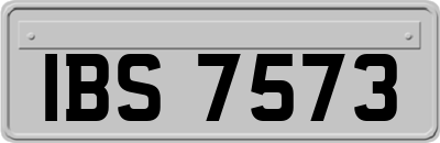 IBS7573