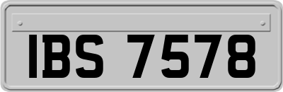 IBS7578