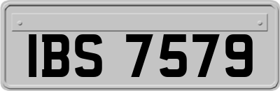 IBS7579