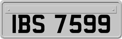IBS7599