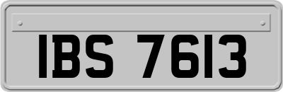 IBS7613