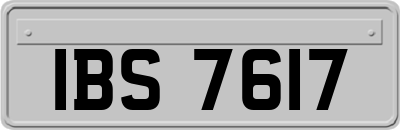 IBS7617