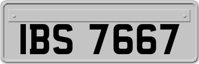 IBS7667