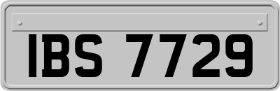 IBS7729