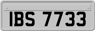 IBS7733