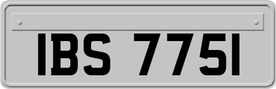 IBS7751