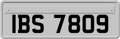 IBS7809