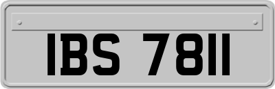IBS7811