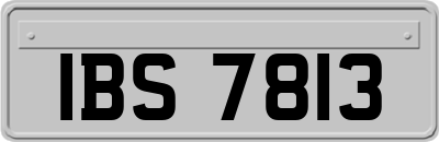 IBS7813