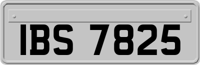 IBS7825