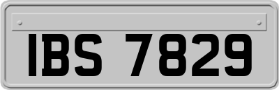 IBS7829