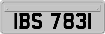 IBS7831