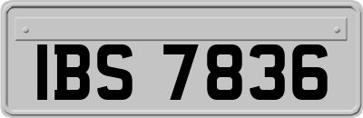IBS7836