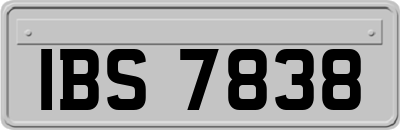 IBS7838
