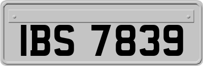 IBS7839