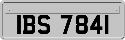 IBS7841