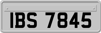 IBS7845
