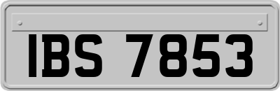 IBS7853