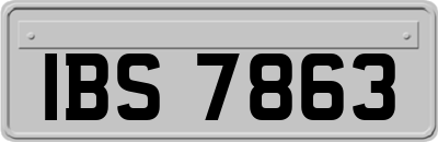 IBS7863