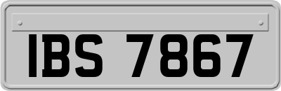 IBS7867