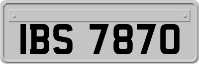 IBS7870
