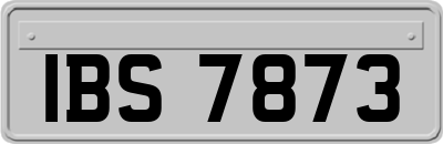 IBS7873