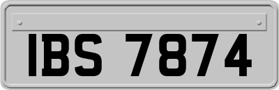 IBS7874