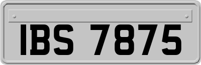 IBS7875