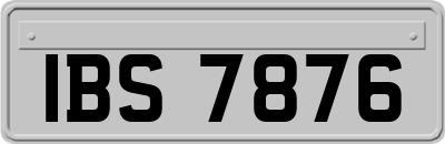 IBS7876