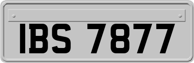 IBS7877