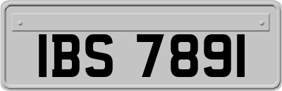 IBS7891