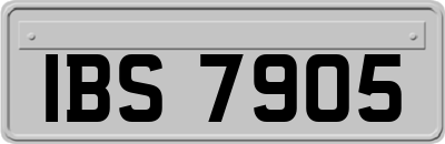 IBS7905