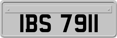 IBS7911
