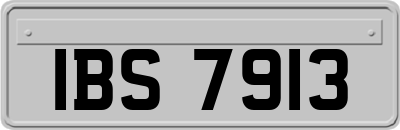 IBS7913