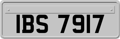 IBS7917