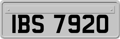 IBS7920