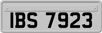 IBS7923