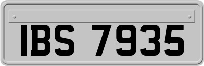 IBS7935
