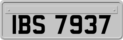 IBS7937