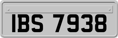 IBS7938