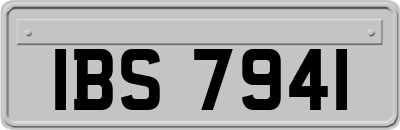 IBS7941