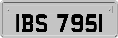 IBS7951