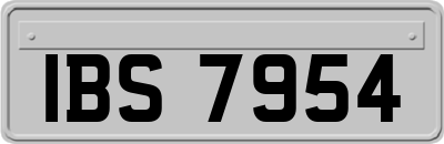 IBS7954