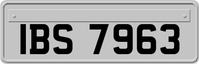 IBS7963