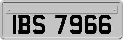IBS7966