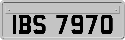 IBS7970