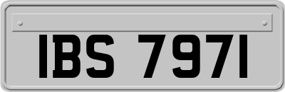 IBS7971