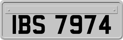 IBS7974