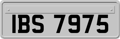 IBS7975