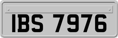 IBS7976